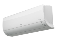LG DM12RP.NSJR0